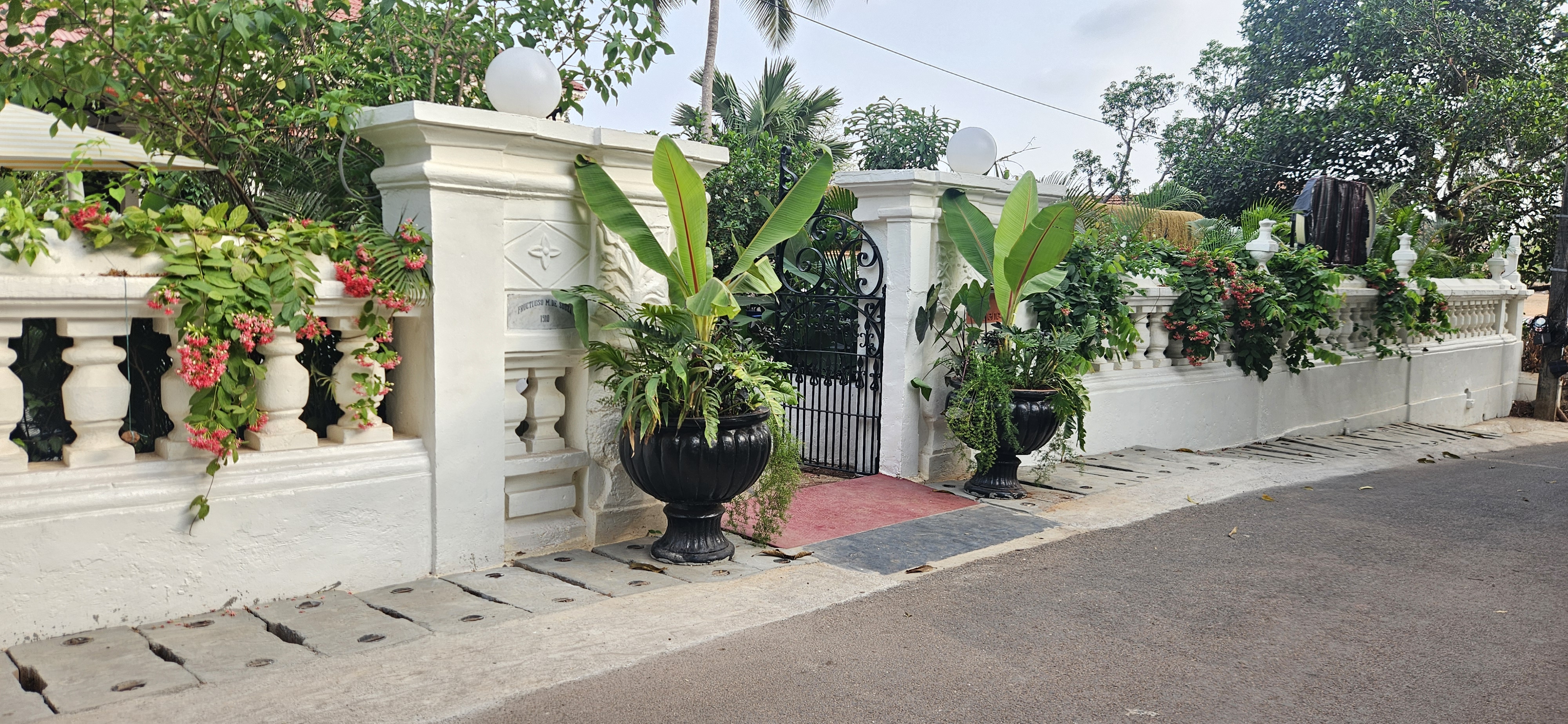 Lush landscape design at Moira Club featuring modern garden aesthetics